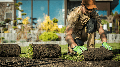 Outdoor & Landscaping